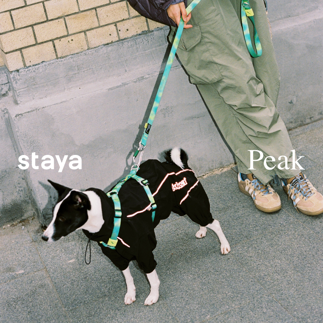 Совместная коллекция staya x Peak