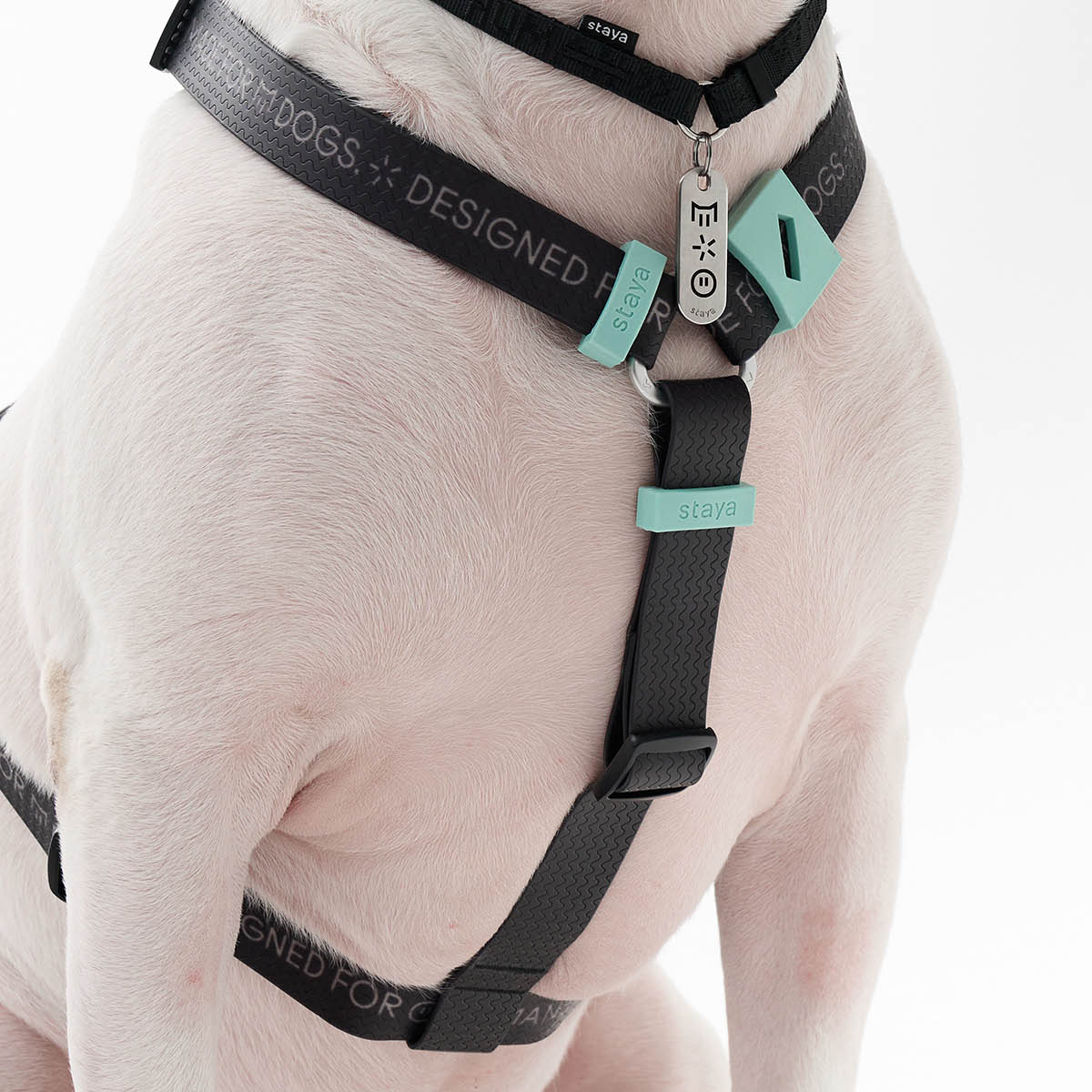 5 точек регулировки