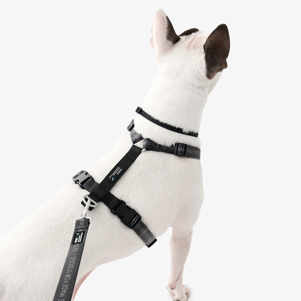 Анатомический крой