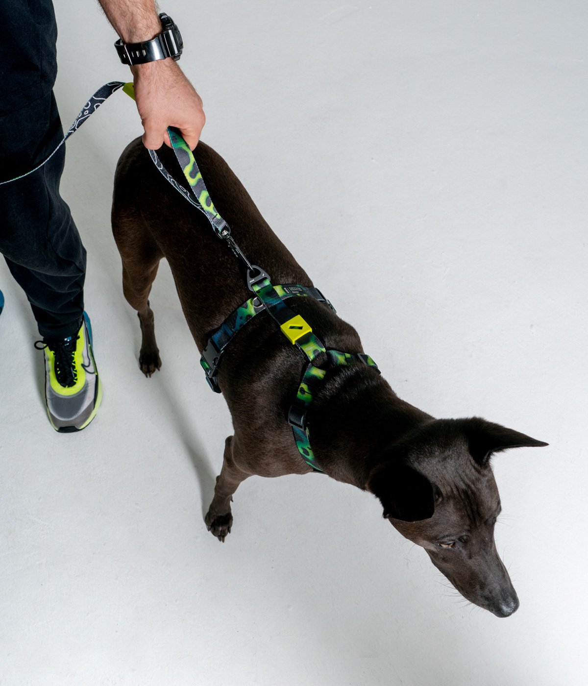 Шетелдік поза