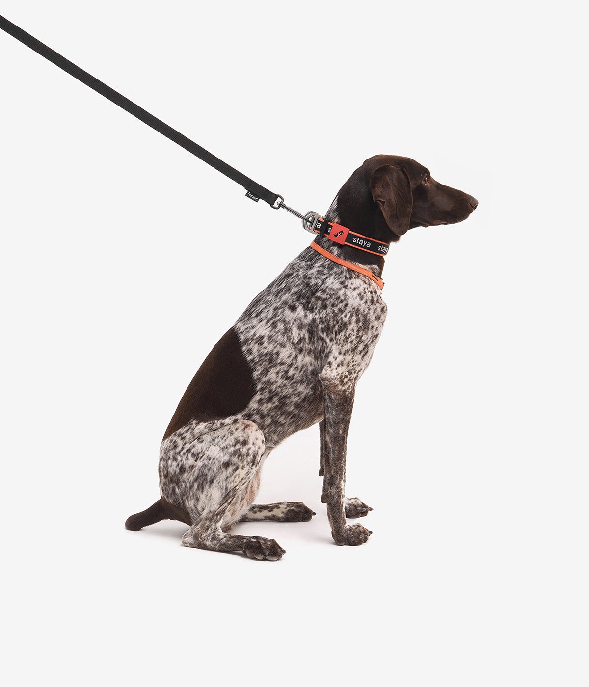 Поводок 1.5 м Urban Orange | staya