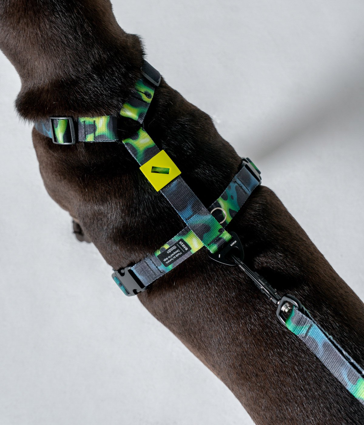 Watch жалаңаш қыздар videos online